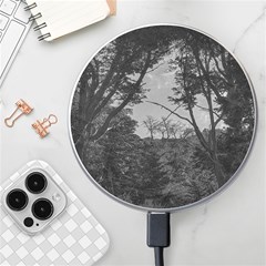 Patagonia Forest, Nahuel Huapi National Park, Rio Negro, Argentina Wireless Fast Charger(white)