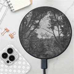 Patagonia Forest, Nahuel Huapi National Park, Rio Negro, Argentina Wireless Fast Charger(black)