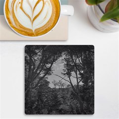 Patagonia Forest, Nahuel Huapi National Park, Rio Negro, Argentina Uv Print Square Tile Coaster 