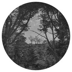 Patagonia Forest, Nahuel Huapi National Park, Rio Negro, Argentina Round Trivet