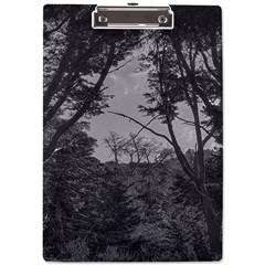 Patagonia Forest, Nahuel Huapi National Park, Rio Negro, Argentina A4 Acrylic Clipboard