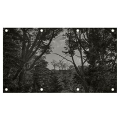 Patagonia Forest, Nahuel Huapi National Park, Rio Negro, Argentina Banner And Sign 7  X 4 