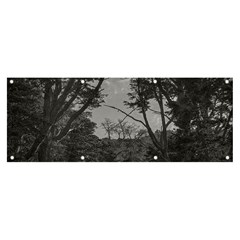 Patagonia Forest, Nahuel Huapi National Park, Rio Negro, Argentina Banner And Sign 8  X 3 