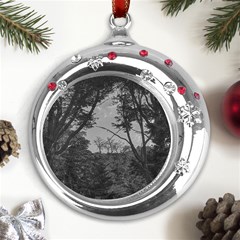 Patagonia Forest, Nahuel Huapi National Park, Rio Negro, Argentina Metal Snowflake Red Crystal Round Ornament