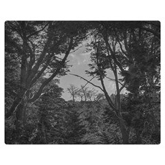 Patagonia Forest, Nahuel Huapi National Park, Rio Negro, Argentina Premium Plush Fleece Blanket (medium)