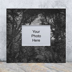 Patagonia Forest, Nahuel Huapi National Park, Rio Negro, Argentina White Wall Photo Frame 5  X 7 