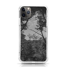 Patagonia Forest, Nahuel Huapi National Park, Rio Negro, Argentina Iphone 11 Pro Max 6 5 Inch Tpu Uv Print Case by dflcprintsclothing