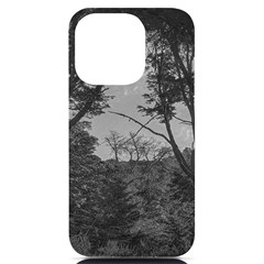 Patagonia Forest, Nahuel Huapi National Park, Rio Negro, Argentina Iphone 14 Pro Black Uv Print Pc Hardshell Case