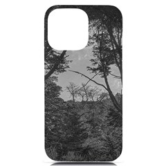 Patagonia Forest, Nahuel Huapi National Park, Rio Negro, Argentina Iphone 14 Pro Max Black Uv Print Pc Hardshell Case