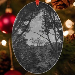 Patagonia Forest, Nahuel Huapi National Park, Rio Negro, Argentina Uv Print Acrylic Ornament Oval