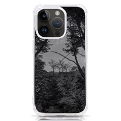 Patagonia Forest, Nahuel Huapi National Park, Rio Negro, Argentina Iphone 14 Pro Tpu Uv Print Case