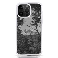 Patagonia Forest, Nahuel Huapi National Park, Rio Negro, Argentina Iphone 14 Pro Max Tpu Uv Print Case