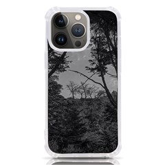 Patagonia Forest, Nahuel Huapi National Park, Rio Negro, Argentina Iphone 13 Pro Tpu Uv Print Case