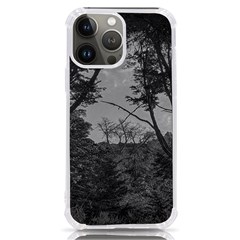 Patagonia Forest, Nahuel Huapi National Park, Rio Negro, Argentina Iphone 13 Pro Max Tpu Uv Print Case