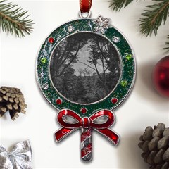 Patagonia Forest, Nahuel Huapi National Park, Rio Negro, Argentina Metal X mas Lollipop With Crystal Ornament