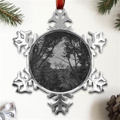 Patagonia Forest, Nahuel Huapi National Park, Rio Negro, Argentina Metal Small Snowflake Ornament