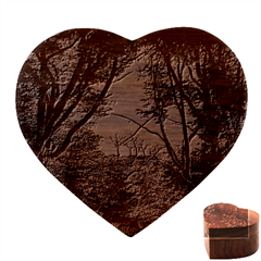 Patagonia Forest, Nahuel Huapi National Park, Rio Negro, Argentina Heart Wood Jewelry Box