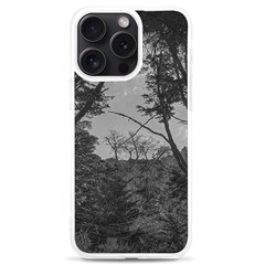 Patagonia Forest, Nahuel Huapi National Park, Rio Negro, Argentina Iphone 15 Pro Max Tpu Uv Print Case by dflcprintsclothing