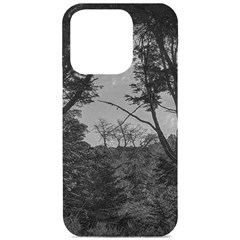 Patagonia Forest, Nahuel Huapi National Park, Rio Negro, Argentina Iphone 15 Pro Black Uv Print Pc Hardshell Case by dflcprintsclothing