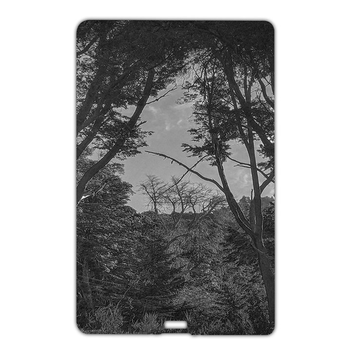 Patagonia Forest, Nahuel Huapi National Park, Rio Negro, Argentina Name Card Style USB Flash Drive