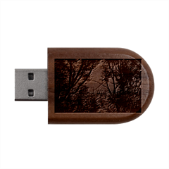 Patagonia Forest, Nahuel Huapi National Park, Rio Negro, Argentina Wood Oval Usb Flash Drive