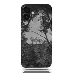 Patagonia Forest, Nahuel Huapi National Park, Rio Negro, Argentina Iphone 16 Plus Tpu Uv Print Case