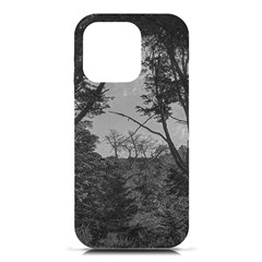 Patagonia Forest, Nahuel Huapi National Park, Rio Negro, Argentina Iphone 16 Pro Black Uv Print Pc Hardshell Case