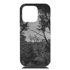 Patagonia Forest, Nahuel Huapi National Park, Rio Negro, Argentina Iphone 16 Pro Max Black Uv Print Pc Hardshell Case by dflcprintsclothing