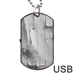 Wall With Cracked White Paint Texture Dog Tag Usb Flash (two Sides)