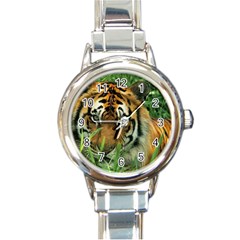 Tiger Round Italian Charm Watch