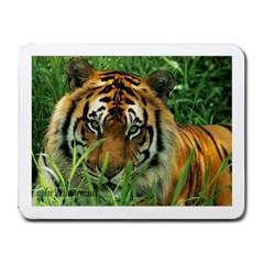 Tiger Small Mousepad by ironman2222