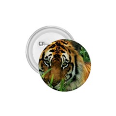 Tiger 1 75  Button