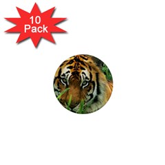 Tiger 1  Mini Magnet (10 Pack) 