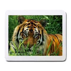 Tiger Large Mousepad