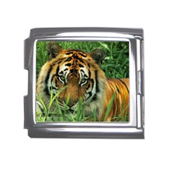 Tiger Mega Link Italian Charm (18mm)