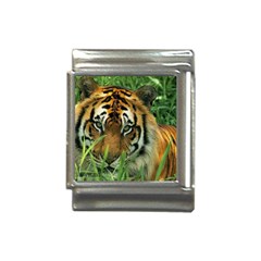 Tiger Italian Charm (13mm)