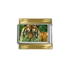 Tiger Gold Trim Italian Charm (9mm)