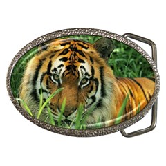 Tiger Belt Buckle by ironman2222