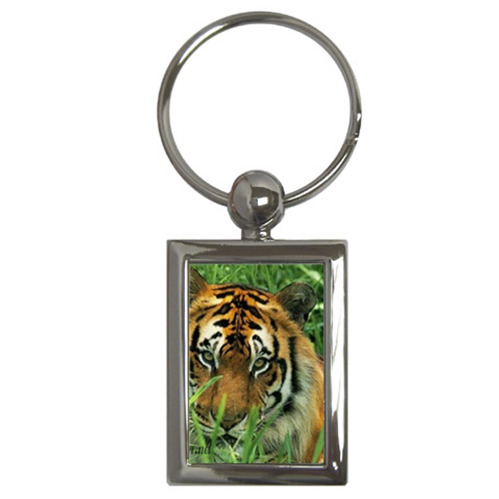 Tiger Key Chain (Rectangle)