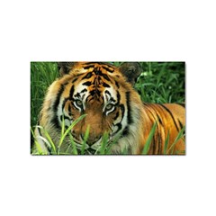 Tiger Sticker (rectangular)