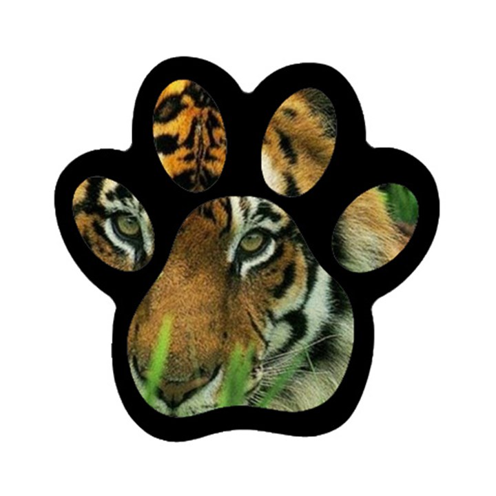 Tiger Magnet (Paw Print)