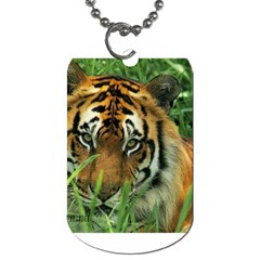 Tiger Dog Tag (one Side)