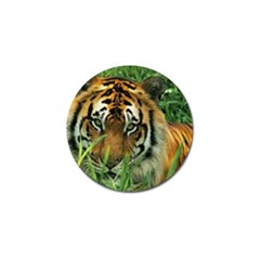 Tiger Golf Ball Marker (4 Pack)