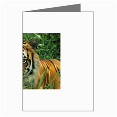 Tiger Greeting Card by ironman2222