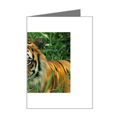 Tiger Mini Greeting Card by ironman2222