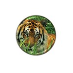 Tiger Hat Clip Ball Marker (4 pack) Front