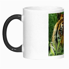 Tiger Morph Mug by ironman2222