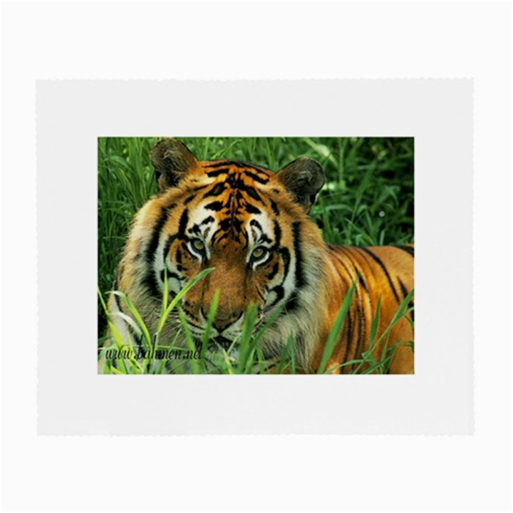 Tiger Glasses Cloth (Small)