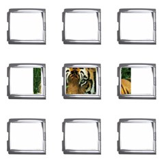 Tiger Mega Link Italian Charm (9 Pack)