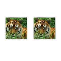 Tiger Cufflinks (square)